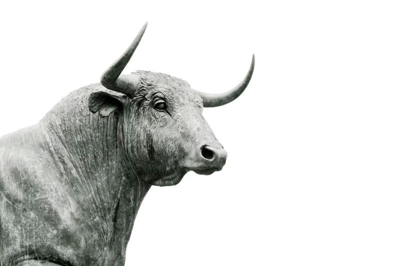 Bronze bull statue, a symbol of rising markets